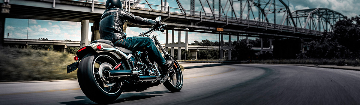 Man riding a black Harley-Davidson® Sportster® motorcycle down the road