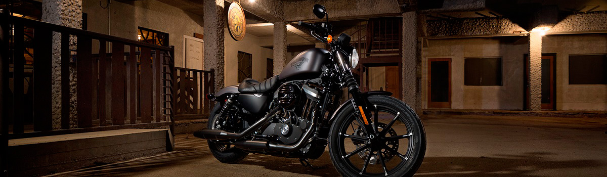Black Harley-Davidson® motorcycle parked in a building